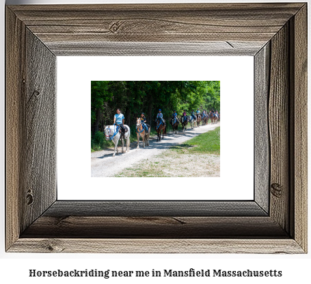 horseback riding near me in Mansfield, Massachusetts